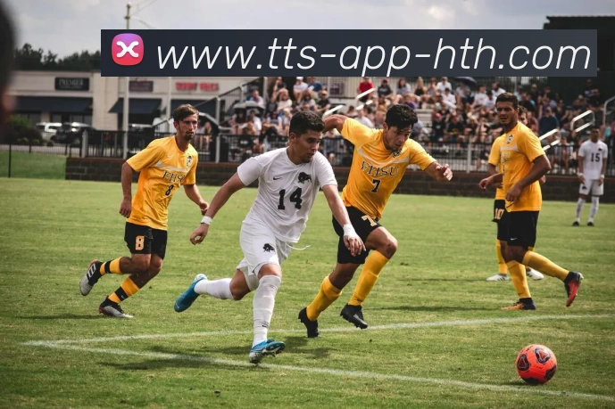 华体会平台生态图